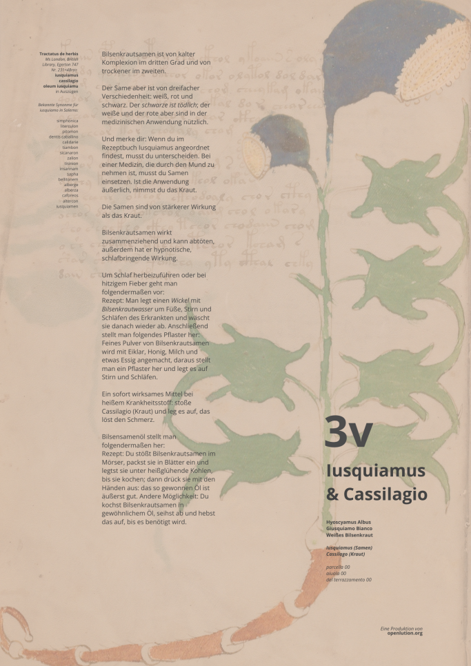 Iusquiamus & Cassilagio tradiert im Circa Instans und im Tractatus de Herbis