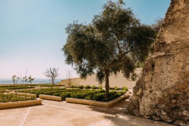 Blick vorbei an der Primärquelle Richtung Hafen Blick vorbei an der Primärquelle Richtung Hafen