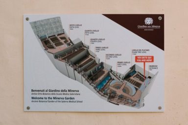 Terrassenstruktur des Giardino della Minerva als Gartenplan Terrassenstruktur des Giardino della Minerva als Gartenplan