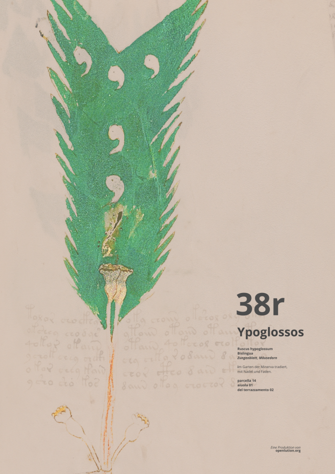 Beinecke MS 408 - Ypoglossos - Folio 38r trägt ein ethisches Dosis-Protokoll