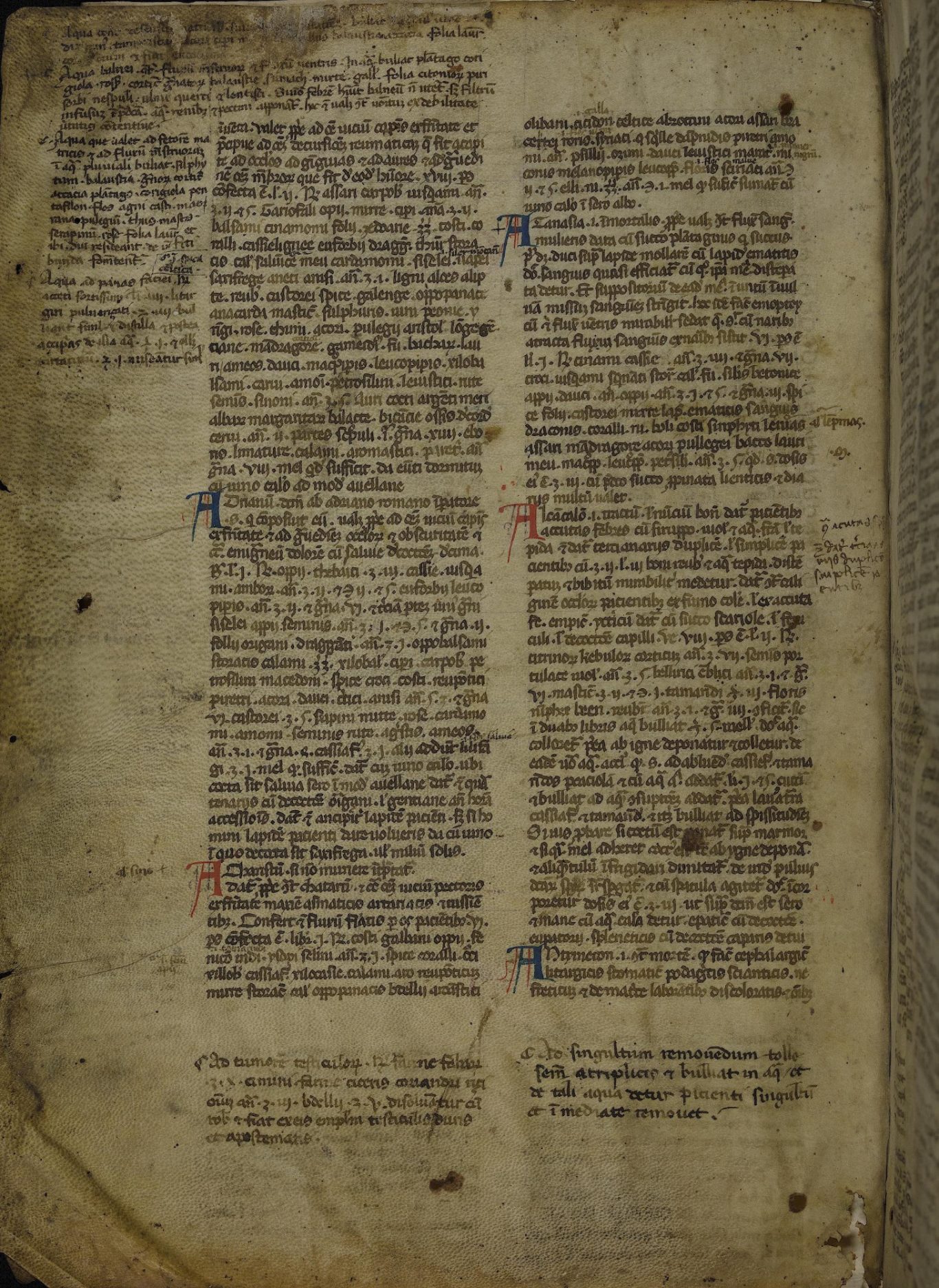Bibliotheca Palatina — Pal. lat. 1146 Bibliotheca Palatina — Pal. lat. 1146