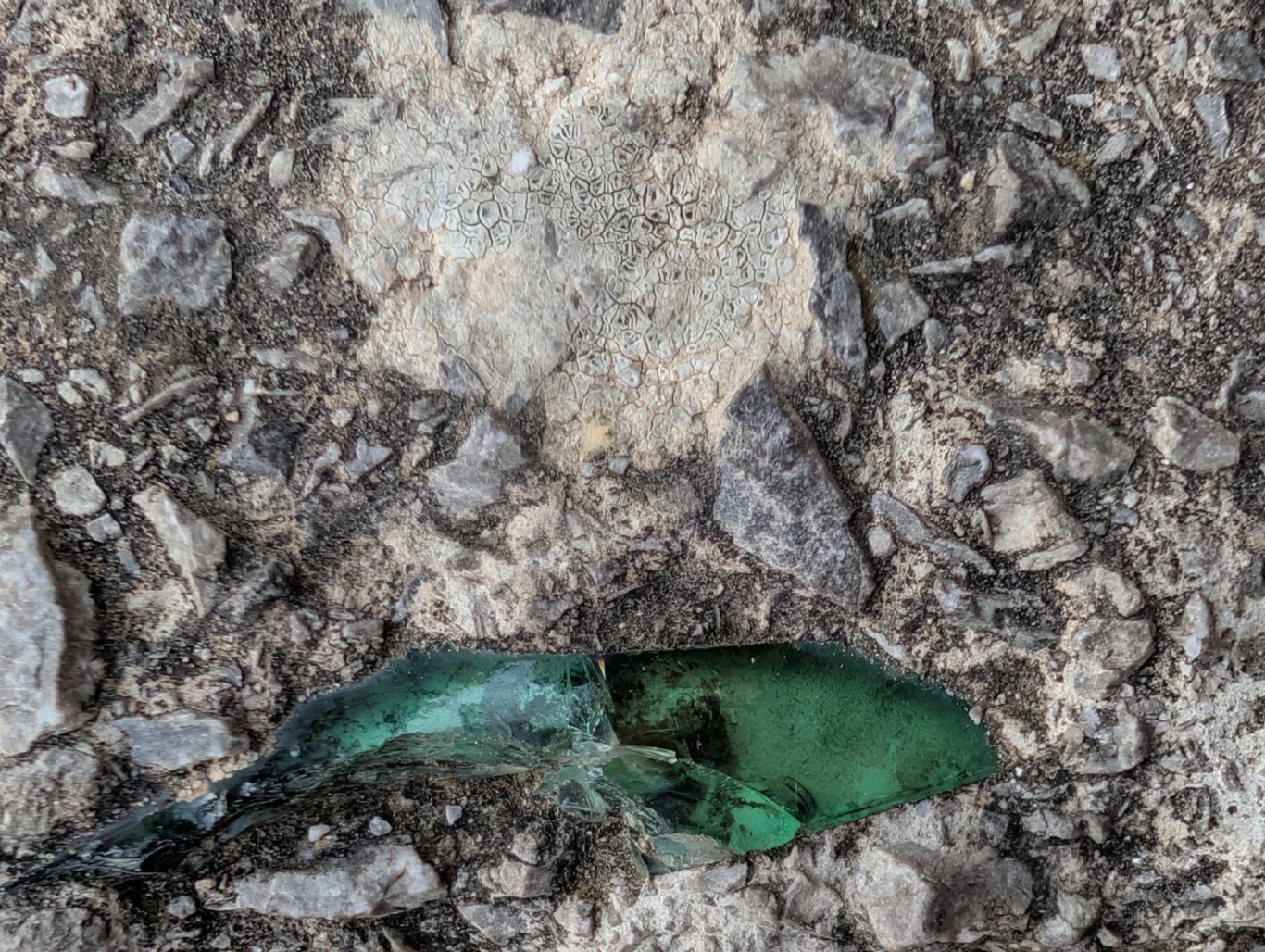 Draganto-Ader eingeschlossen in einer Treppenstufe auf dem Castelli di Arechi Draganto-Ader eingeschlossen in einer Treppenstufe auf dem Castelli di Arechi