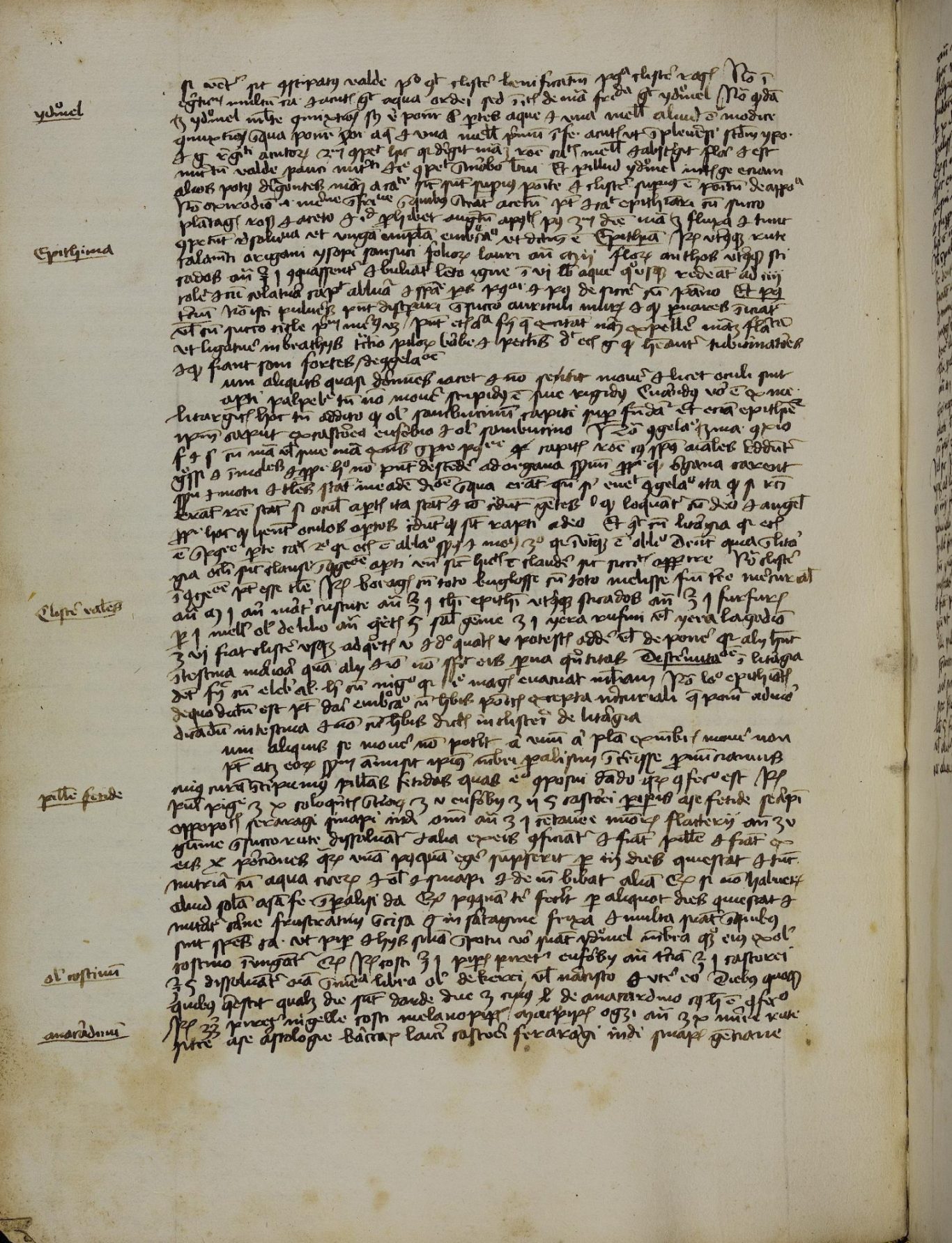 Bibliotheca Palatina — Pal. lat. 1264 Bibliotheca Palatina — Pal. lat. 1264