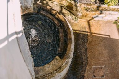 Sternbrunnen & Nenufar bilden eine Einheit auf Ebene 4 Ich bin der Sternbrunnen und in mir wächst die Nenufar vom Folio 2v der Voynich-Sammlung