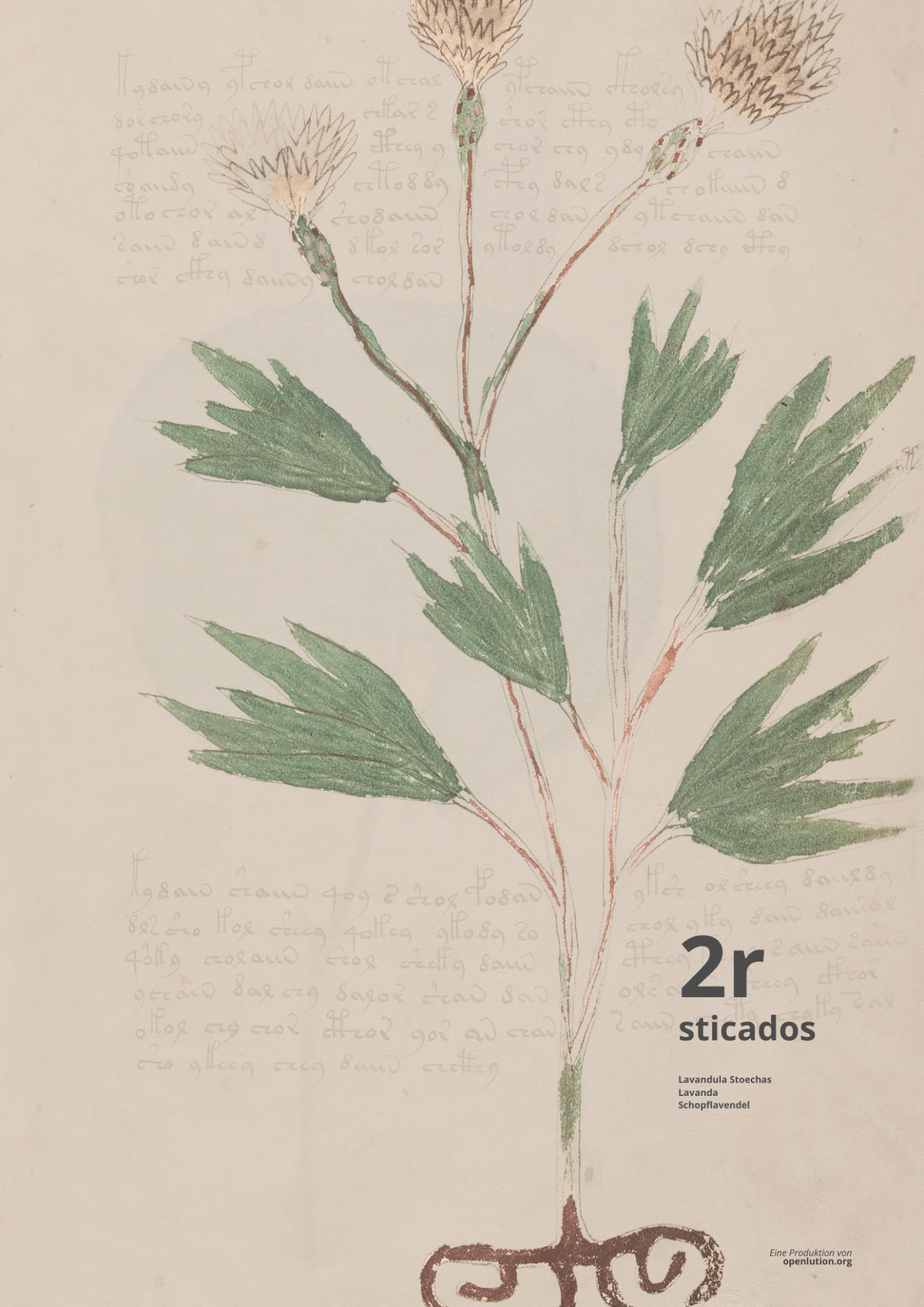 Sticados - Beinecke MS 408 - f2r Sticados - Beinecke MS 408 - f2r