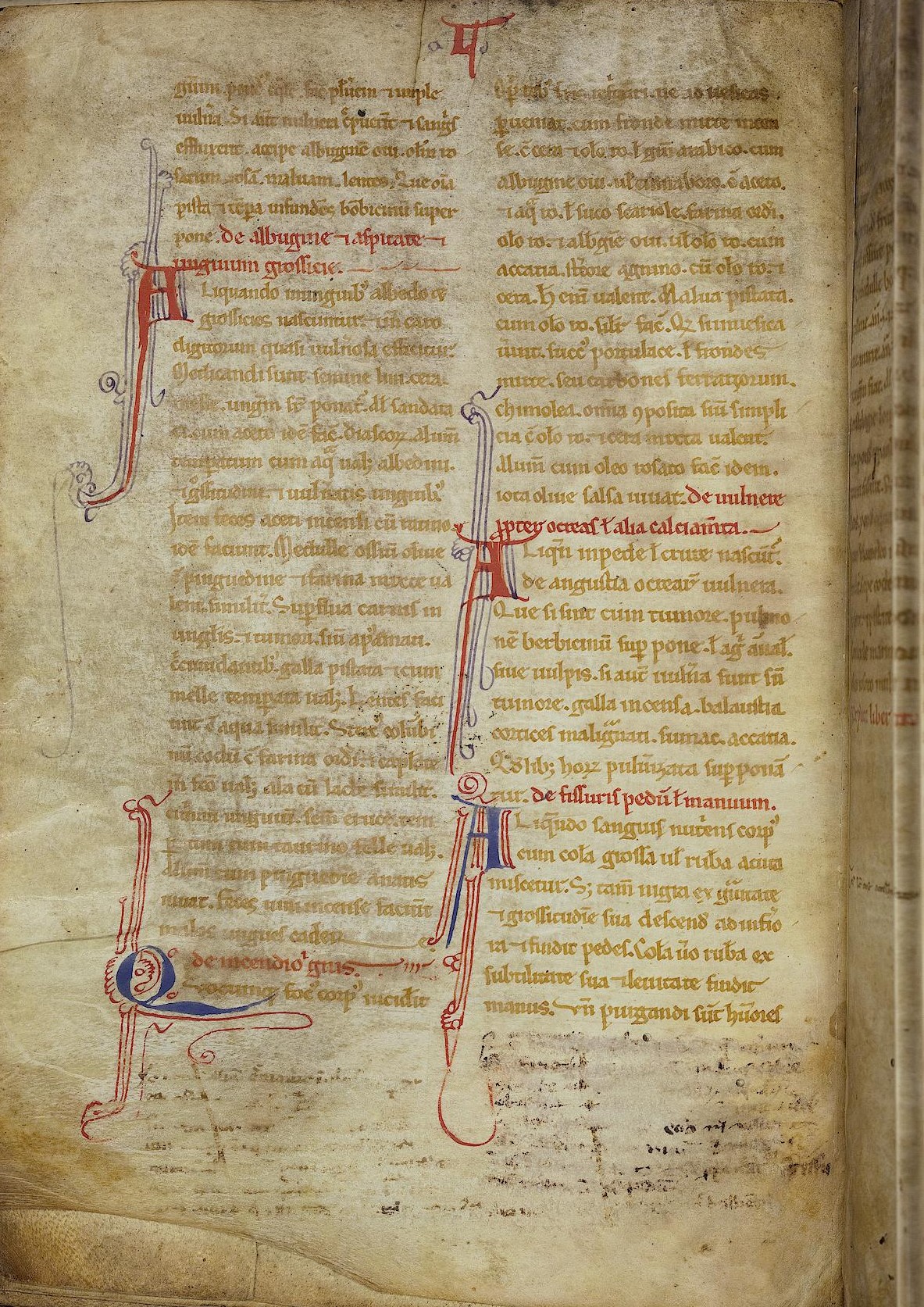 Bibliotheca Palatina — Pal. lat. 1162 Bibliotheca Palatina — Pal. lat. 1162