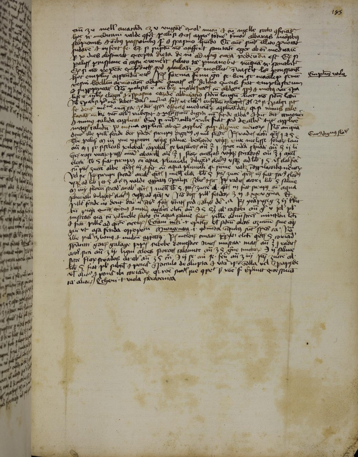 Bibliotheca Palatina — Pal. lat. 1264 Bibliotheca Palatina — Pal. lat. 1264