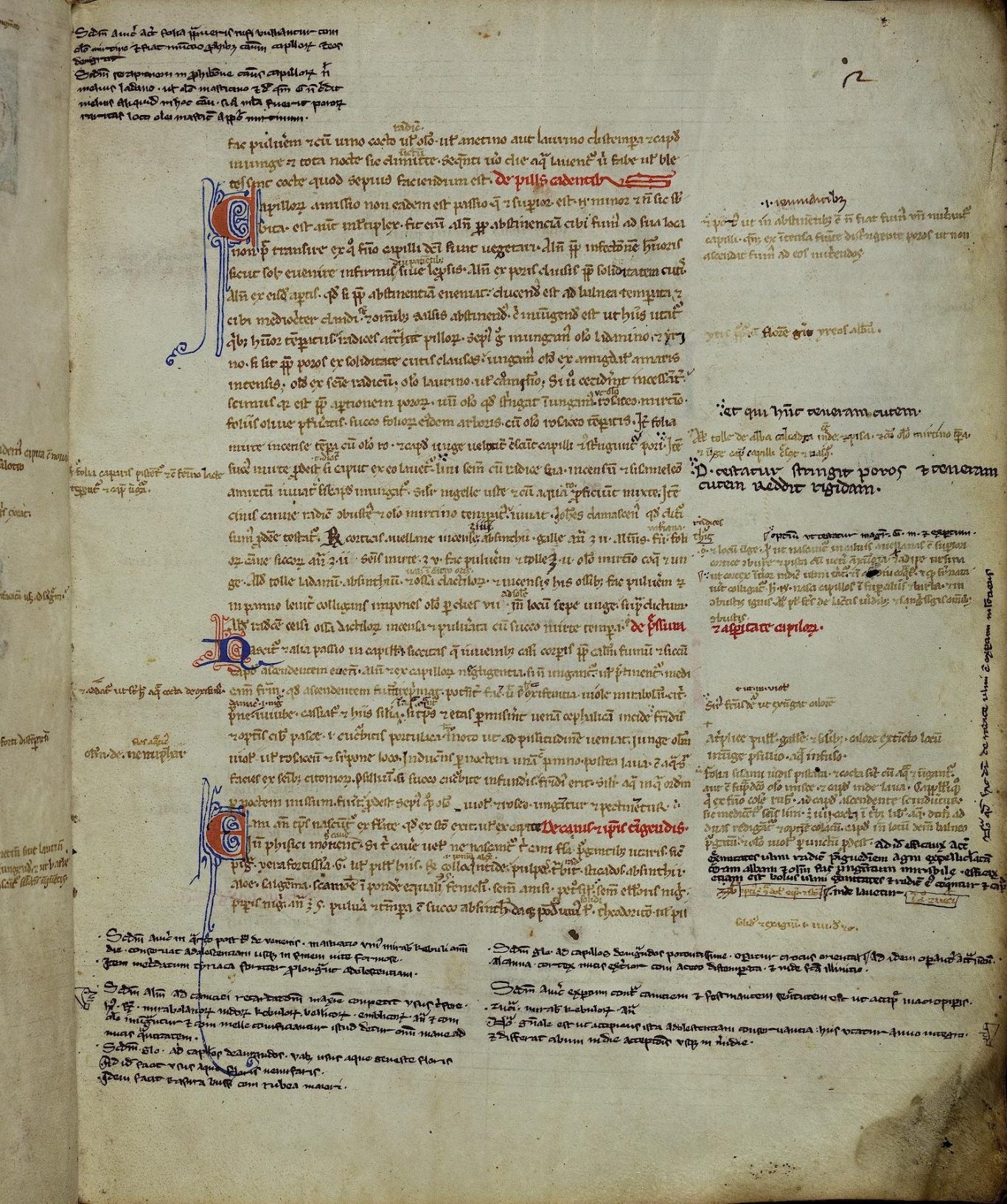 Bibliotheca Palatina — Pal. lat. 1161 Bibliotheca Palatina — Pal. lat. 1161