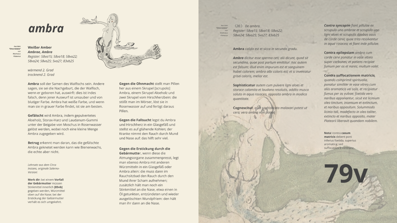 de ambꝛe als tierischer Rohstoff in salernitanischer Pharmakologie - folio 79v - Voynich Manuskript de ambꝛe als tierischer Rohstoff in salernitanischer Pharmakologie - folio 79v - Voynich Manuskript