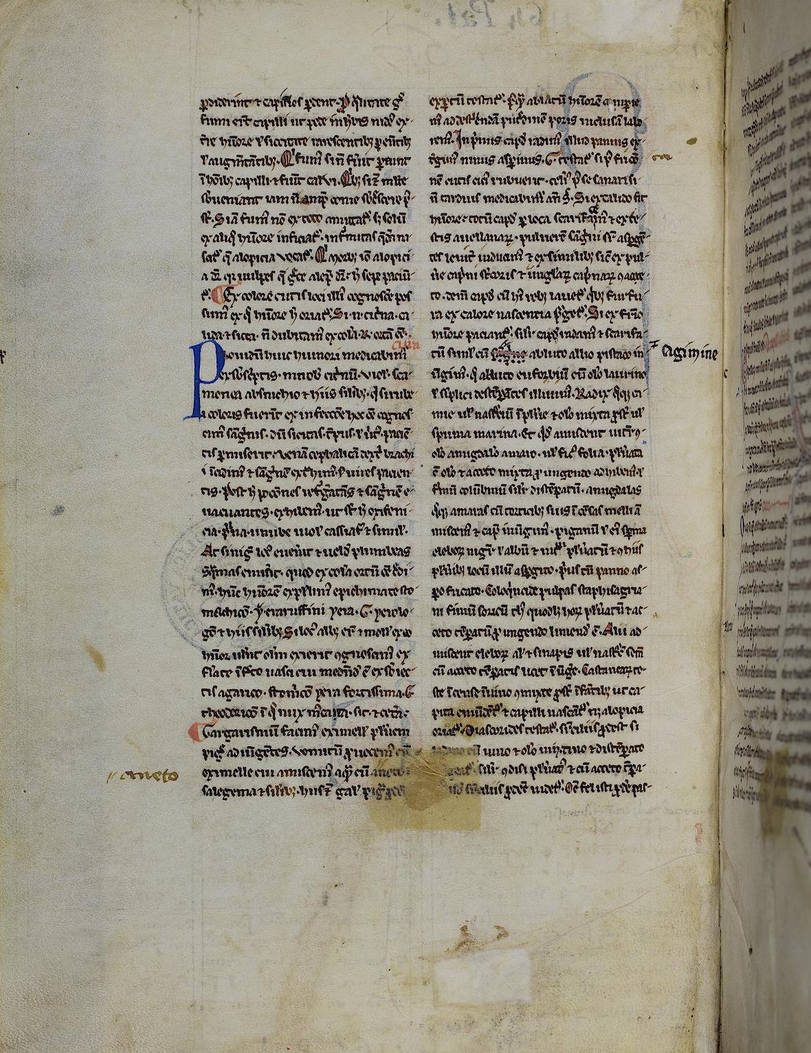 Bibliotheca Palatina — Pal. lat. 1164 Bibliotheca Palatina — Pal. lat. 1164