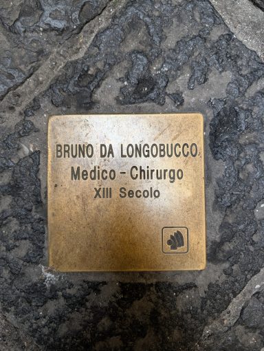 Bruno da Longobucco - Medico - Chirurgo - XIII Secolo