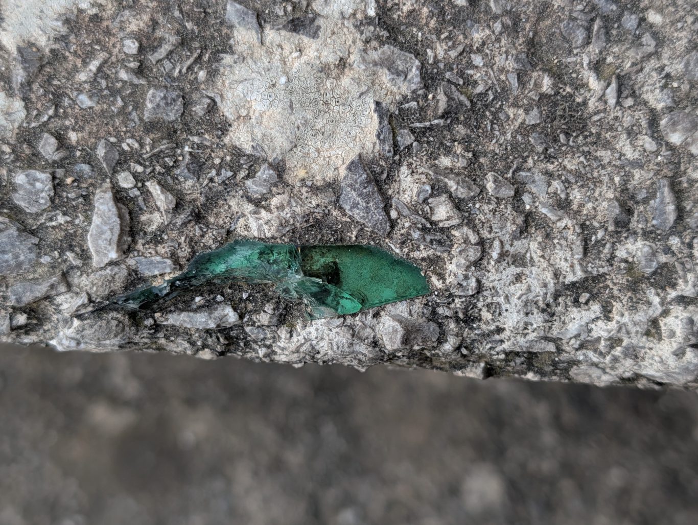 Draganto-Ader eingeschlossen in einer Treppenstufe auf dem Castelli di Arechi Draganto-Ader eingeschlossen in einer Treppenstufe auf dem Castelli di Arechi