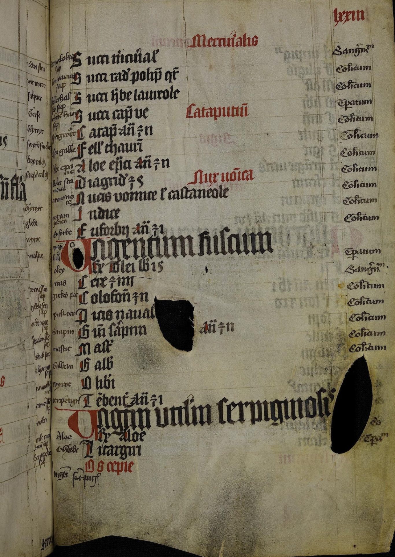 Bibliotheca Palatina — Pal. lat. 1145 Bibliotheca Palatina — Pal. lat. 1145