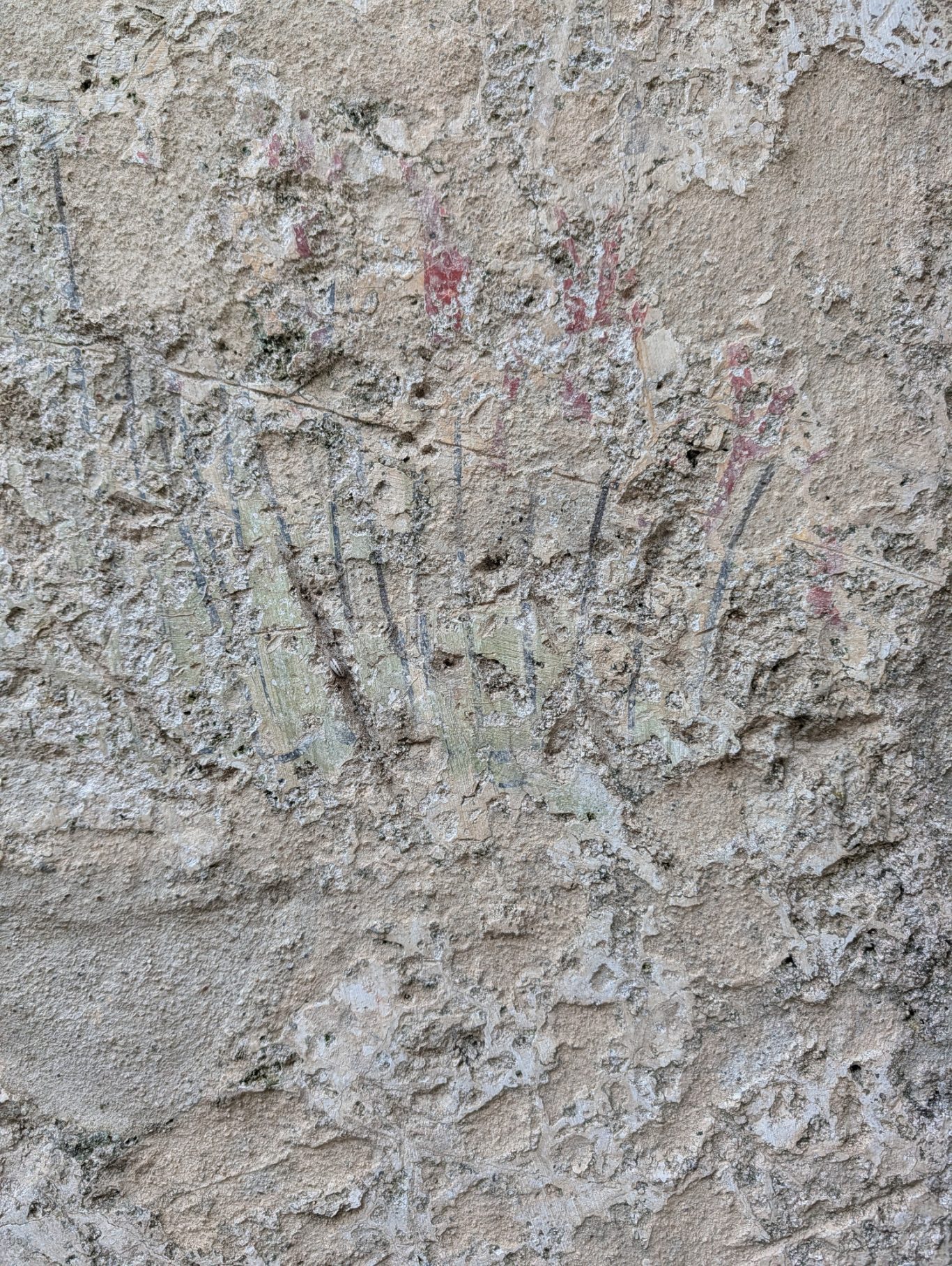 Reste einer floralen Wandmalerei im Castello di Arechi Reste einer floralen Wandmalerei im Castello di Arechi