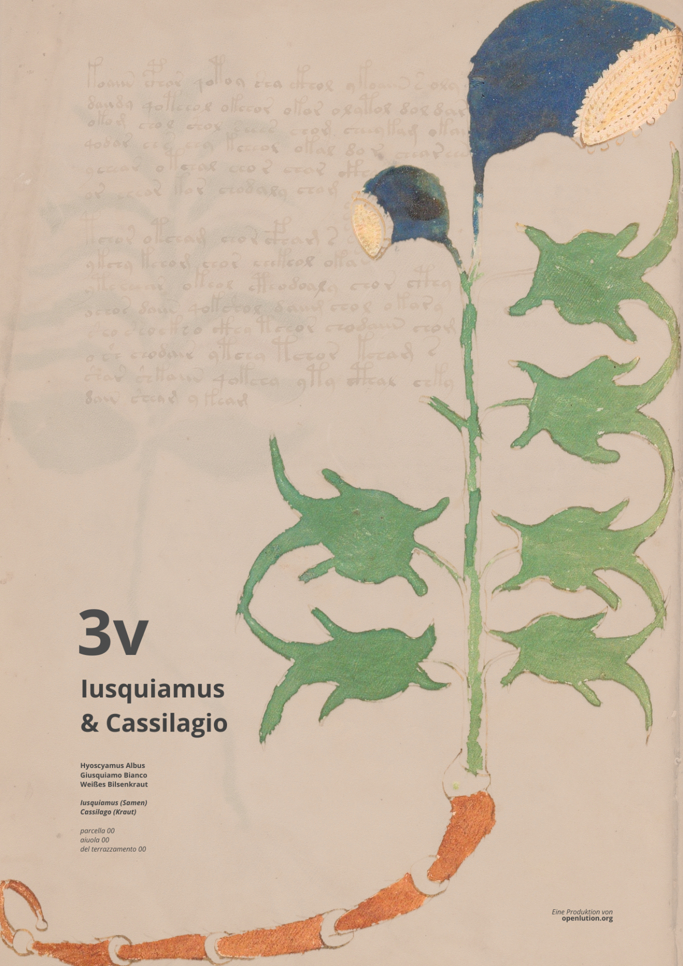 Iusquiamus (Folio 3v) Iusquiamus (Folio 3v)