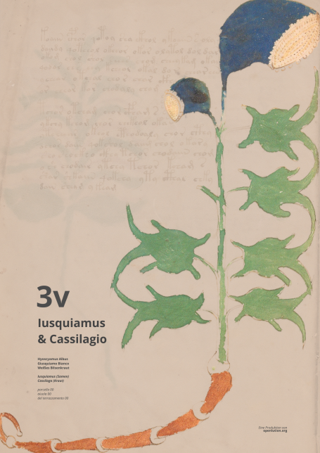 3v - Iusquiamo als Bestandteil der Spongia Somnifera